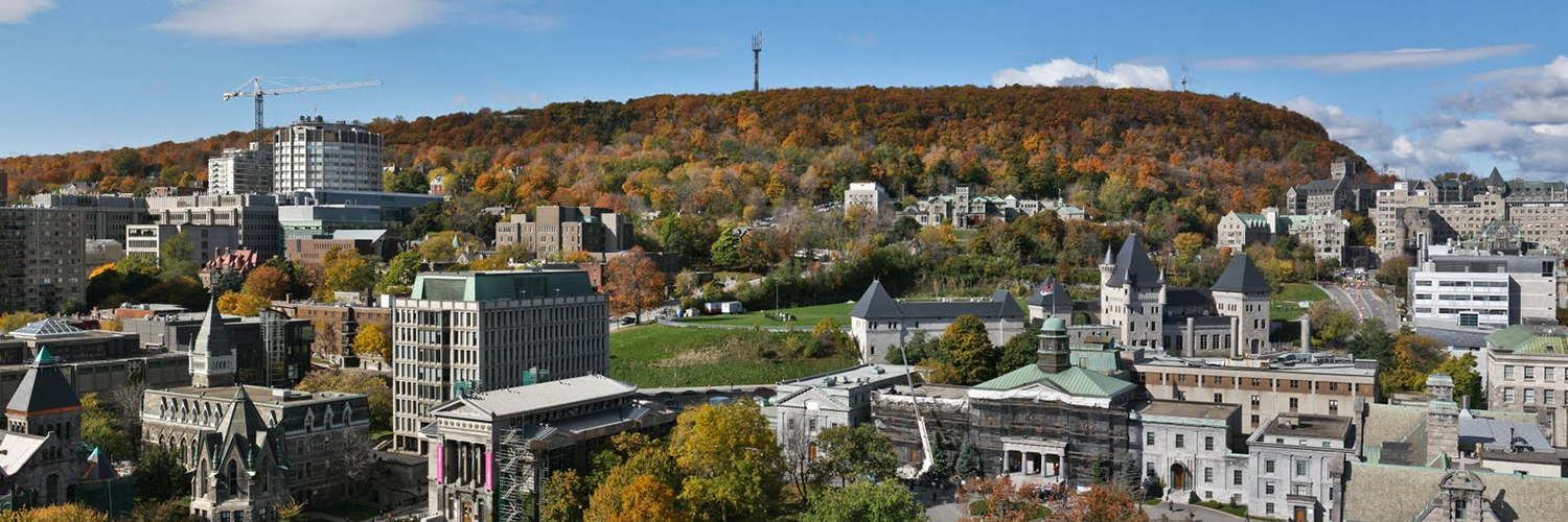McGill University banner